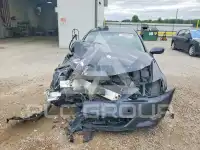 2008 Lexus IS photo