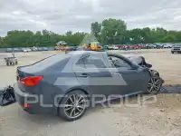 2008 Lexus IS photo