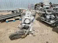 2008 Yamaha  photo