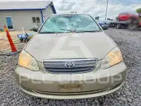 2008 Toyota COROLLA photo