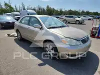 2008 Toyota COROLLA фото