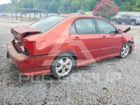 2008 Toyota COROLLA фото