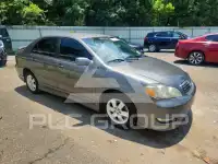2008 Toyota COROLLA фото