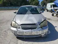 2008 Toyota COROLLA photo
