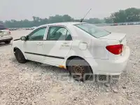 2008 Toyota COROLLA photo
