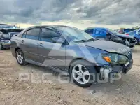 2008 Toyota COROLLA фото