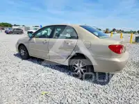 2008 Toyota COROLLA photo