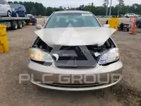 2008 Toyota COROLLA photo