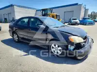 2008 Toyota COROLLA photo