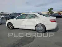 2008 Toyota CAMRY photo