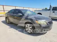 2008 Toyota CAMRY фото