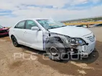 2008 Toyota CAMRY фото