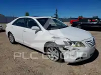2008 Toyota CAMRY фото