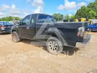 2008 Ford F-150 photo