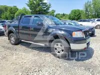 2008 Ford F-150 photo