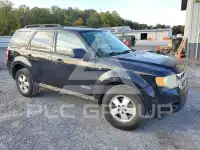 2008 Ford ESCAPE фото