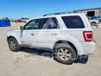 2008 Ford ESCAPE photo