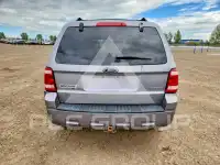 2008 Ford ESCAPE фото