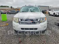 2008 Ford ESCAPE фото