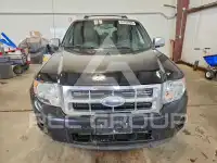 2008 Ford ESCAPE фото