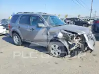 2008 Ford ESCAPE photo