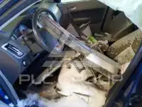 2008 Ford FOCUS photo