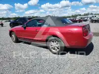 2008 Ford MUSTANG photo