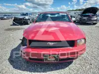 2008 Ford MUSTANG photo
