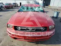 2008 Ford MUSTANG фото
