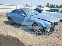 2008 Ford MUSTANG фото