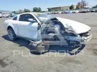 2008 Ford MUSTANG фото