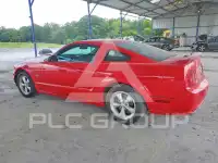 2008 Ford MUSTANG фото