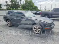 2008 Ford MUSTANG фото