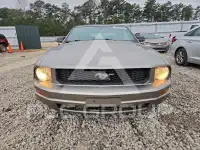 2008 Ford MUSTANG фото
