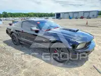 2008 Ford MUSTANG фото