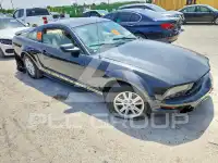 2008 Ford MUSTANG фото