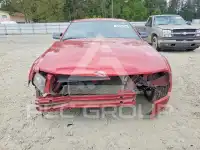 2008 Ford MUSTANG photo
