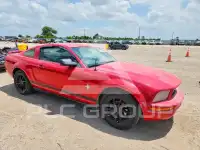 2008 Ford MUSTANG фото