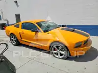 2008 Ford MUSTANG photo