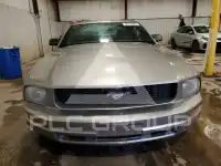 2008 Ford MUSTANG photo