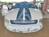 2008 Ford MUSTANG photo