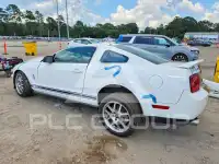 2008 Ford MUSTANG photo