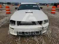 2008 Ford MUSTANG фото
