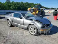 2008 Ford MUSTANG фото