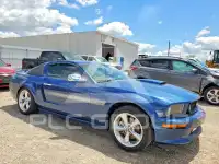 2008 Ford MUSTANG фото