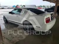 2008 Ford MUSTANG photo