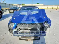 2008 Ford MUSTANG photo