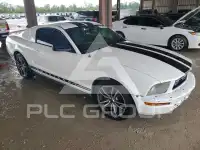 2008 Ford MUSTANG photo