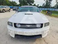 2008 Ford MUSTANG фото