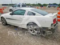 2008 Ford MUSTANG фото